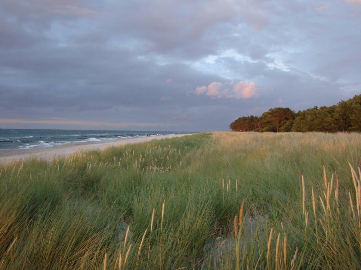 Ferienwohnung Am Strand Цингст Екстер'єр фото